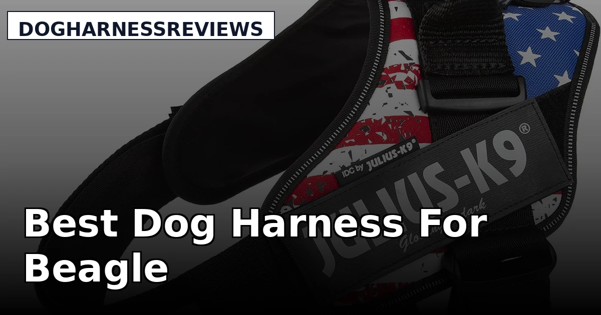 Best Dog Harness For Beagle - DogHarnessReviews review with measurements and honest opinion