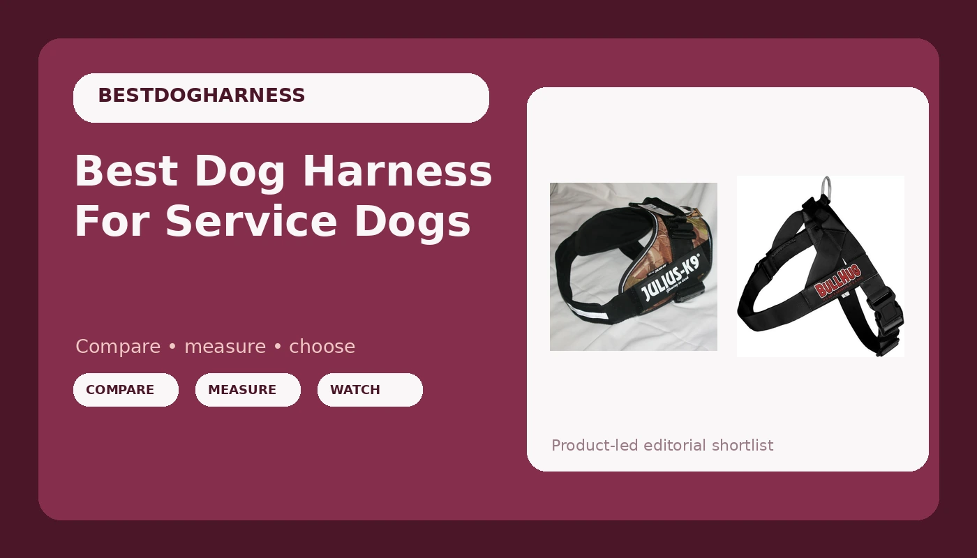 Best Dog Harness For Service Dogs - DogHarnessReviews review with measurements and honest opinion