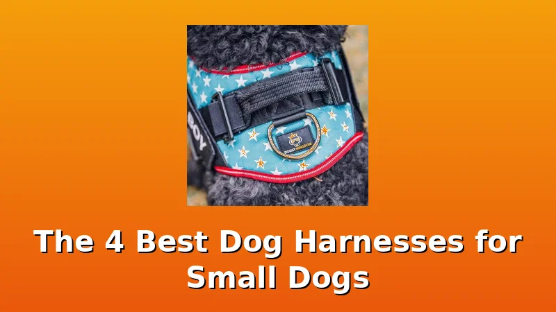 The 4 Best Dog Harnesses for Small Dogs - DogHarnessReviews review with measurements and honest opinion