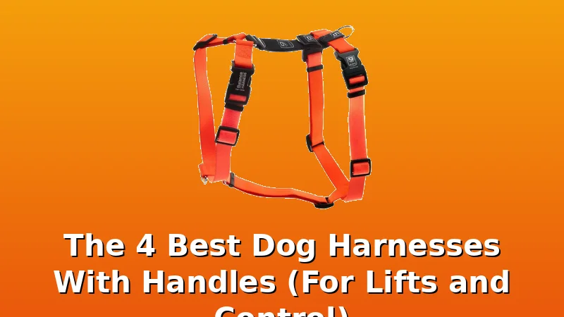 The 4 Best Dog Harnesses With Handles (For Lifts and Control) - DogHarnessReviews review with measurements and honest opinion