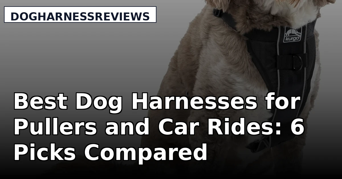 Best Dog Harnesses for Pullers and Car Rides: 6 Picks Compared