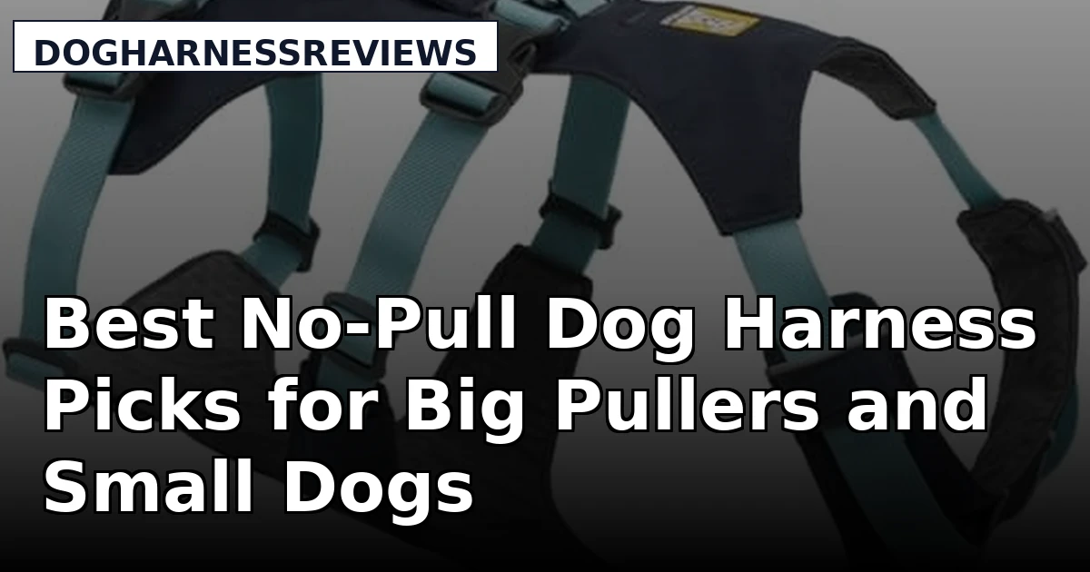 Best No-Pull Dog Harness Picks for Big Pullers and Small Dogs