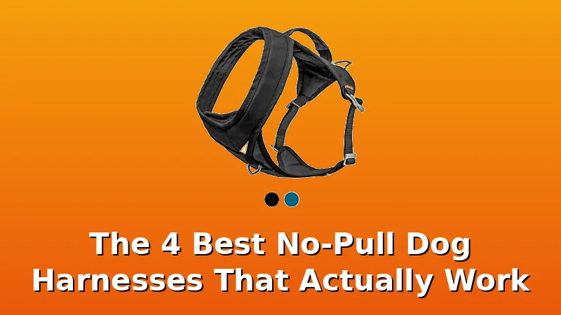 The 4 Best No-Pull Dog Harnesses That Actually Work - DogHarnessReviews review with measurements and honest opinion