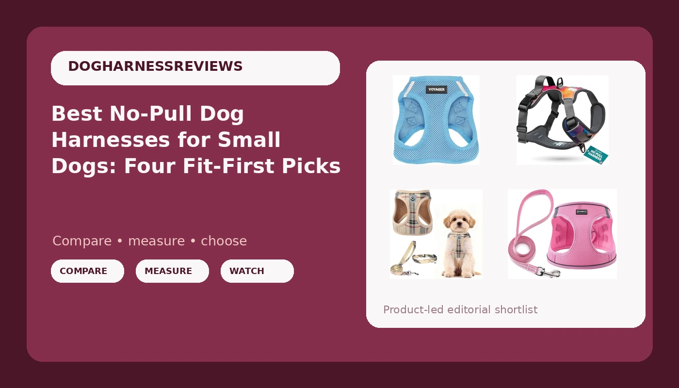 Best No-Pull Dog Harnesses for Small Dogs: Four Fit-First Picks