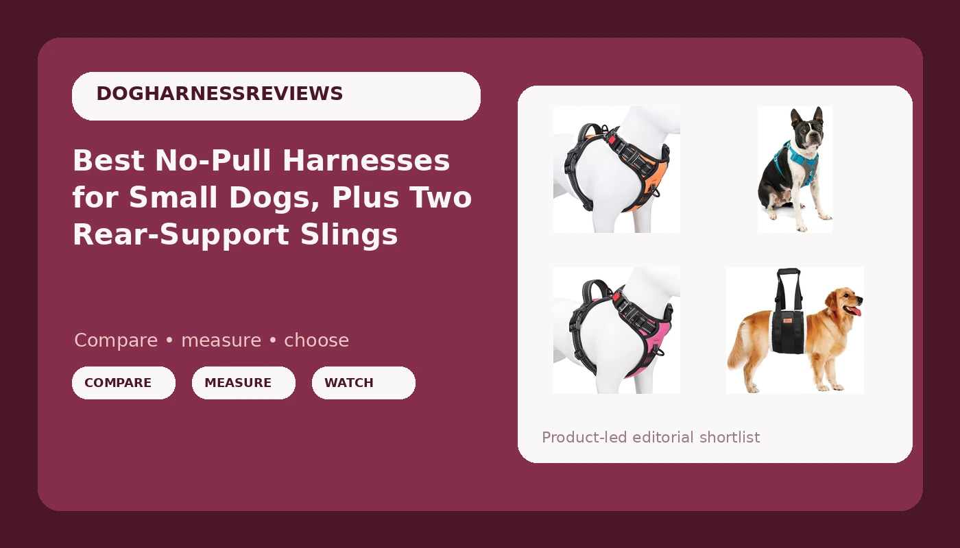 Best No-Pull Harnesses for Small Dogs, Plus Two Rear-Support Slings