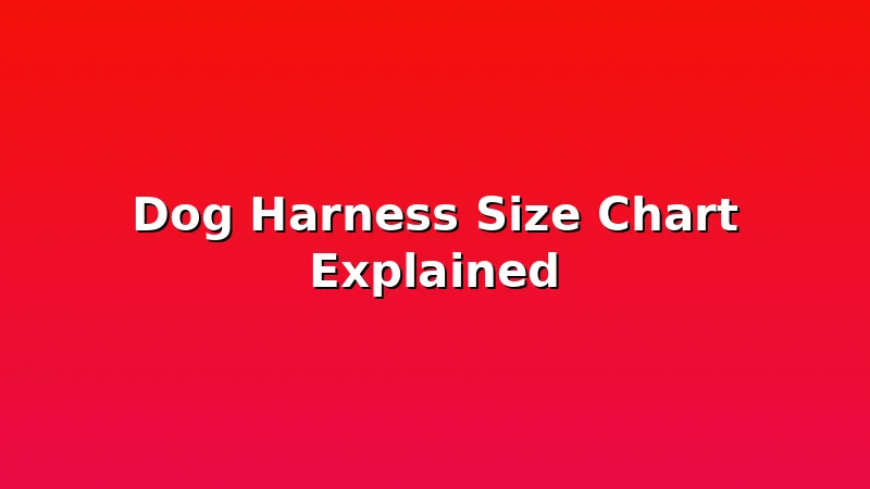 Dog Harness Size Chart Explained - DogHarnessReviews review with measurements and honest opinion