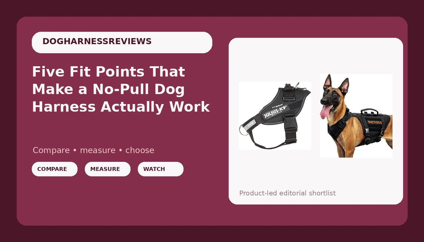 Five Fit Points That Make a No-Pull Dog Harness Actually Work