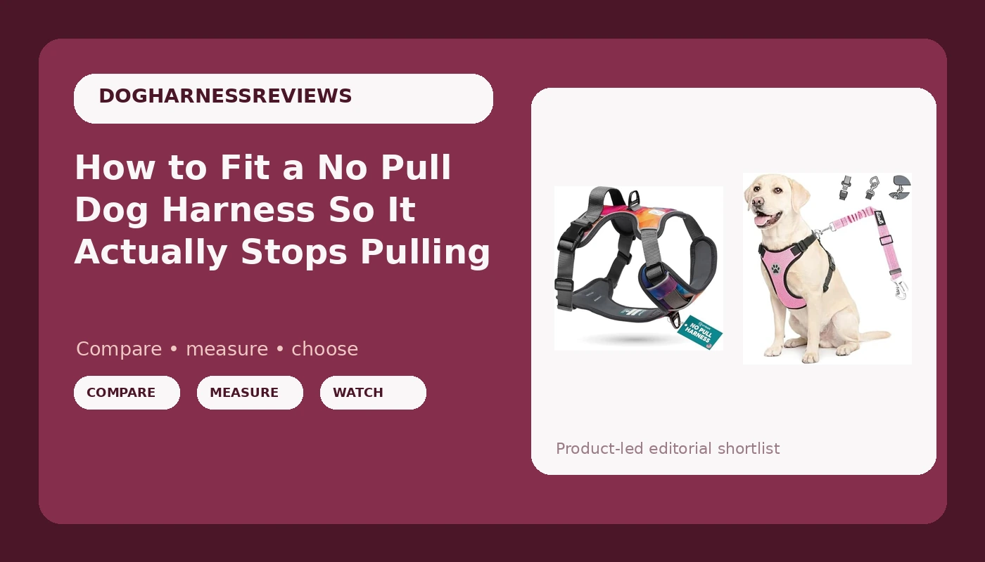 How to Fit a No Pull Dog Harness So It Actually Stops Pulling
