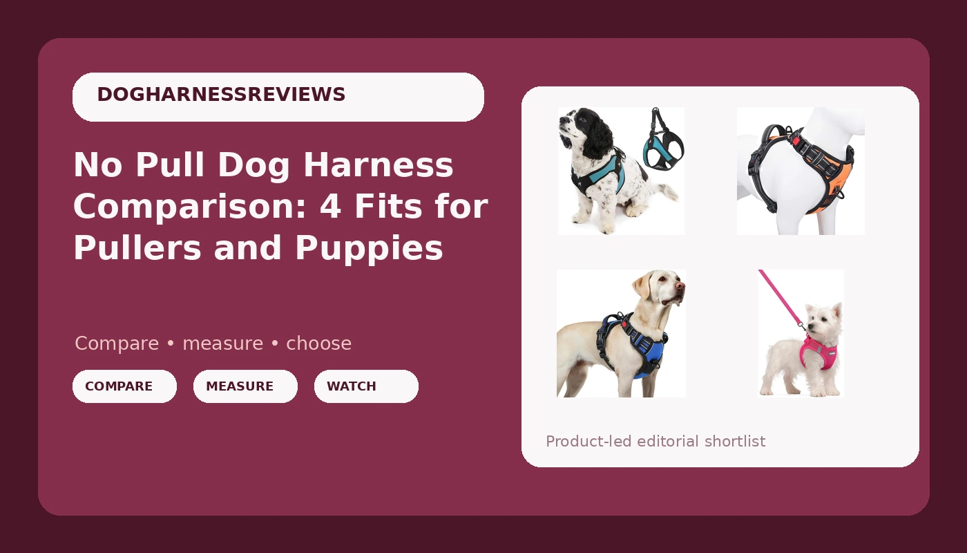 No Pull Dog Harness Comparison: 4 Fits for Pullers and Puppies