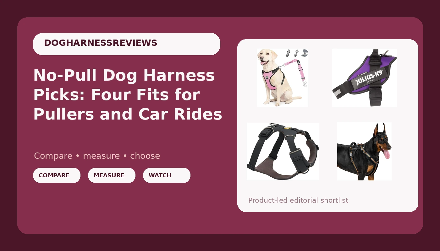 No-Pull Dog Harness Picks: Four Fits for Pullers and Car Rides