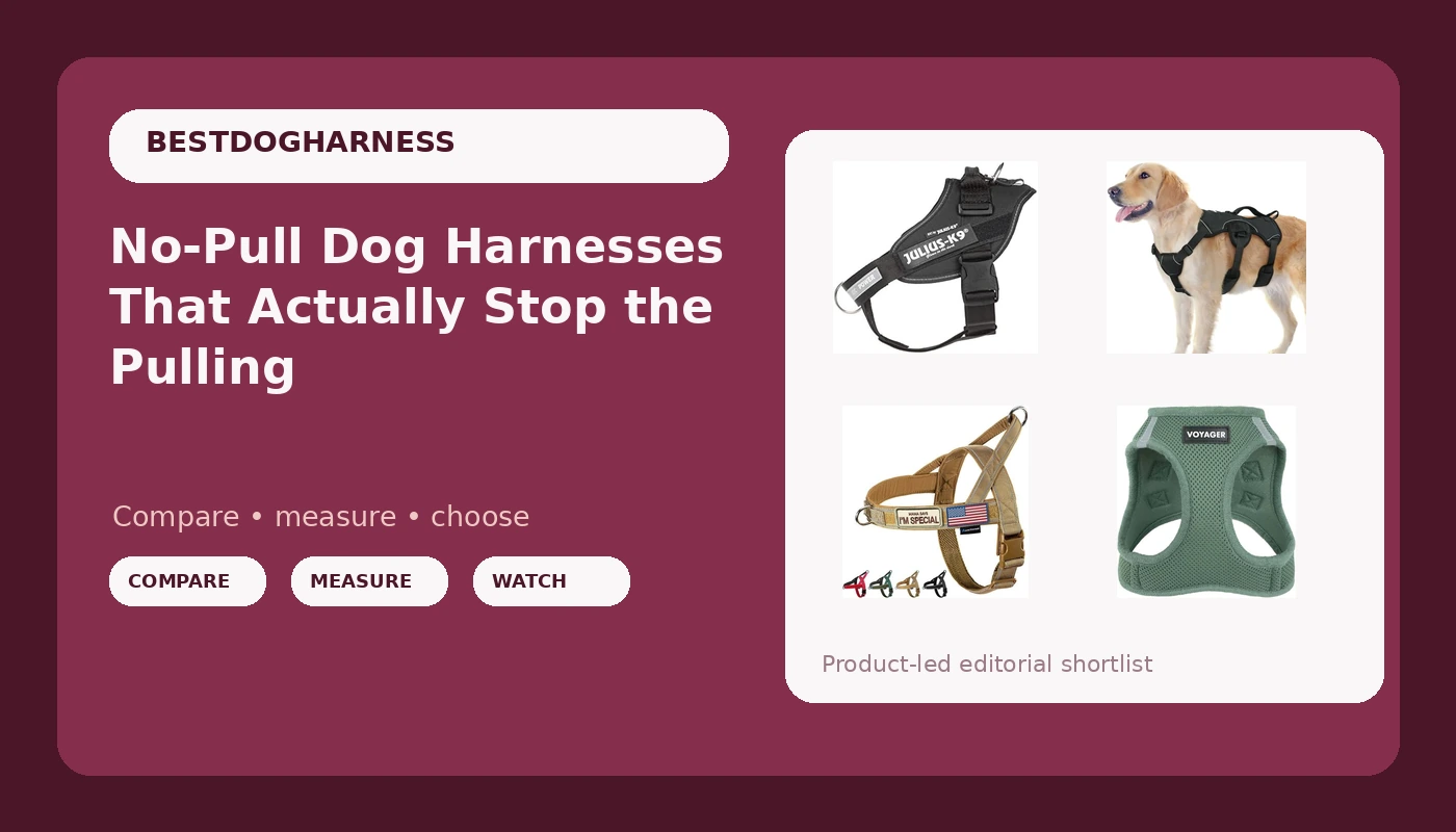 No-Pull Dog Harnesses That Actually Stop the Pulling