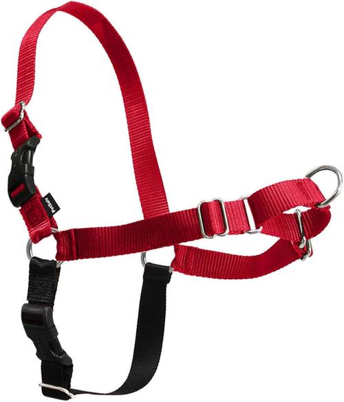 PetSafe Easy Walk