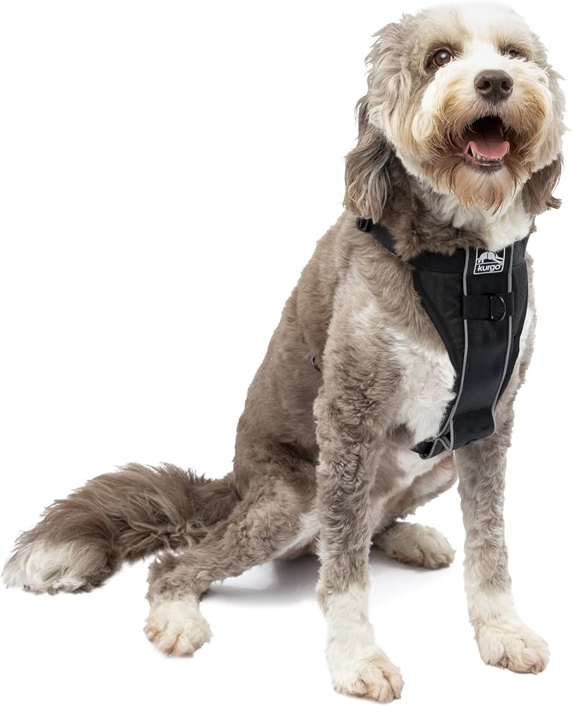 Kurgo Tru-Fit Smart Harness, Black, Large