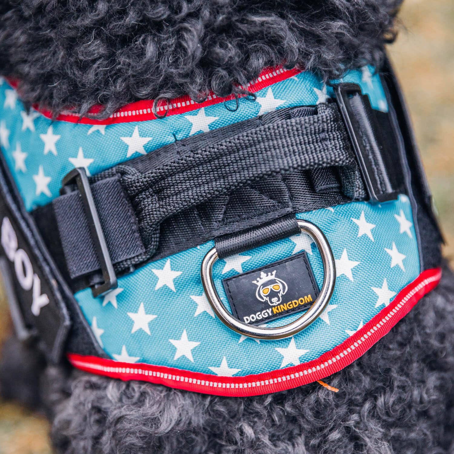 The 4 Best No-Pull Dog Harnesses That Actually Work - DogHarnessReviews review with measurements and honest opinion