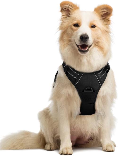 rabbitgoo Dog Harness (B01M6YASY1)