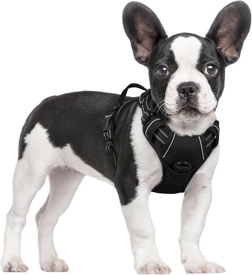 rabbitgoo No Pull Dog Harness (B01MA58881)