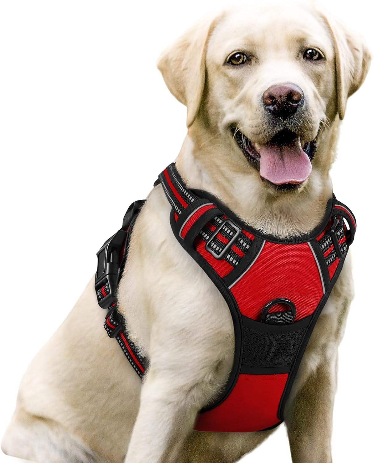 rabbitgoo Dog Harness, No Pull for Large Dogs with 2 Leash Clips, Pet Vest