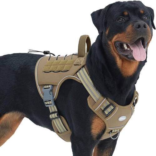 Auroth Tactical (B07XNV1MM2)