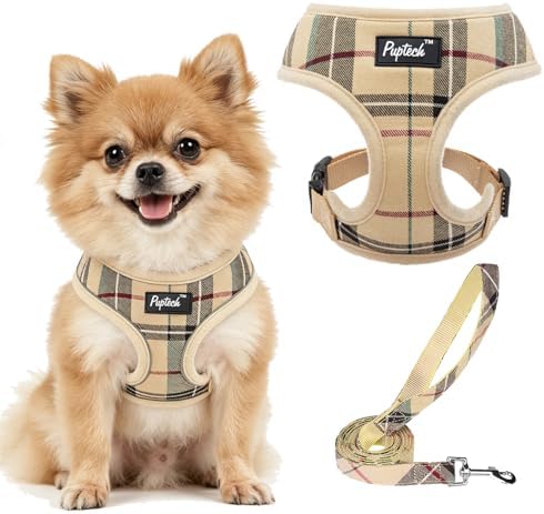 PUPTECK Soft Mesh Dog Harness and Leash Set (B081N41SJX)