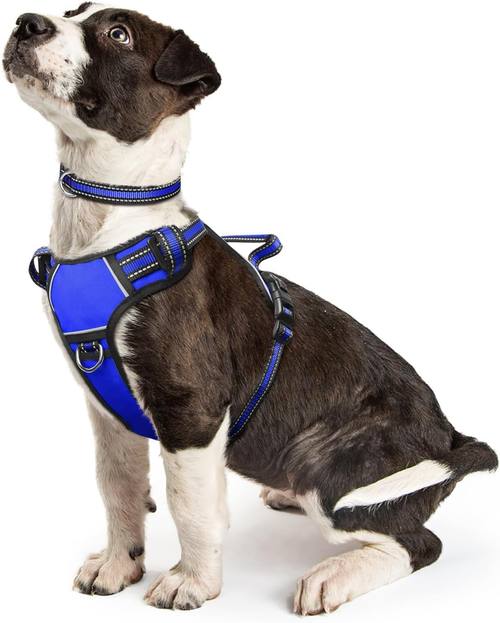 Adjustable Reflect Harness (B08CXH52M9)