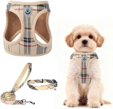 PUPTECK Set (B08NDFWQB1)