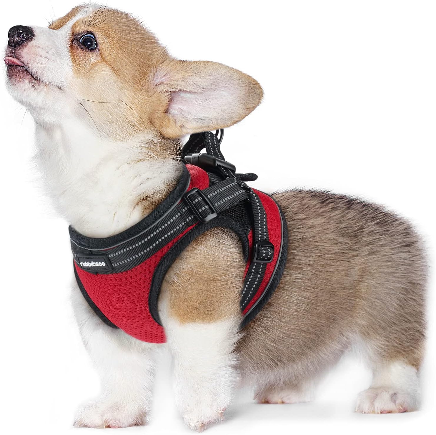 The 5 Best Dog Harnesses for Large and Giant Breeds - DogHarnessReviews review with measurements and honest opinion