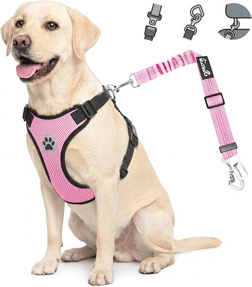 Lukovee Dog Seat Belt Harness (B09GYKQFCH)