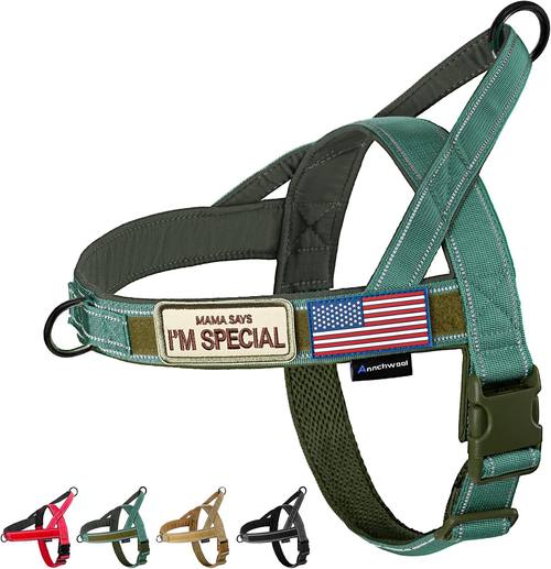 Annchwool No Pull Dog Harness (B09Y18Z3XM)