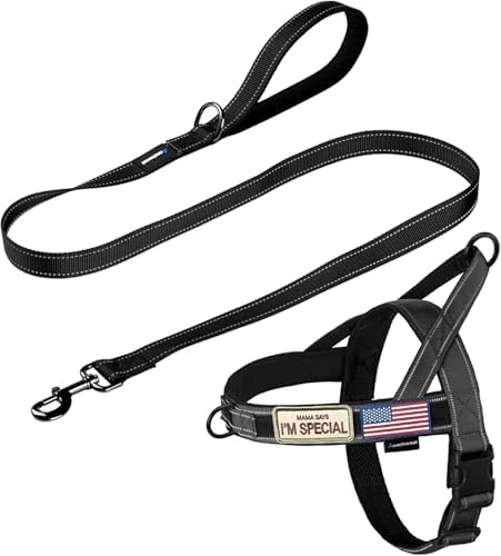 Annchwool No Pull Dog Harness (B09Y1K8BQ2)