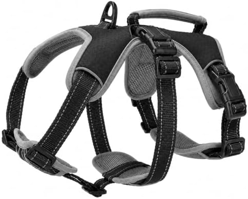 Escape Proof Dog Harness, Dachshund Harness, Reflective (B0B2JVQ315)