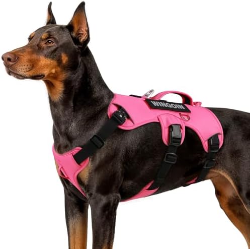 WINGOIN Tactical Harness (B0BHMYHSQN)