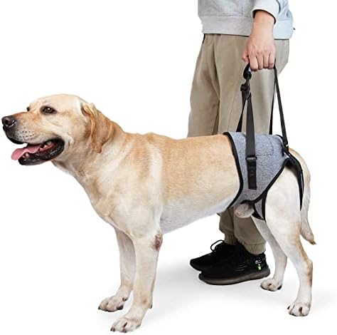 Dotoner Dog Sling for Large Dogs (B0BL3K3H97)