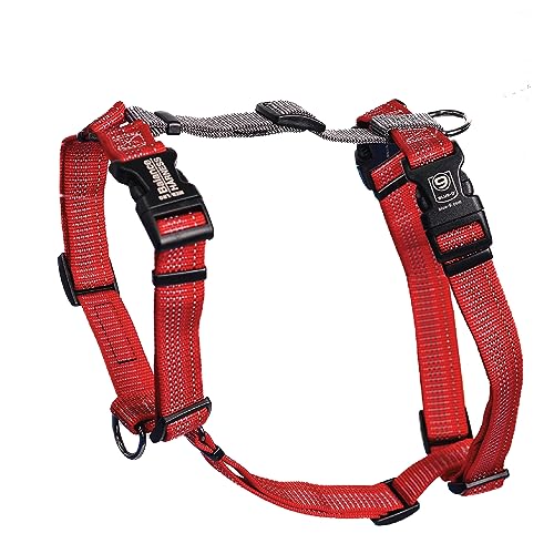 Blue-9 Reflective Buckle-Neck Balance Harness, Fully Customizable Fit No-Pull Harness with 3M Reflective Stitching, Ideal for Dog Training and Obedience, Made in The USA, Red, Medium/Larg