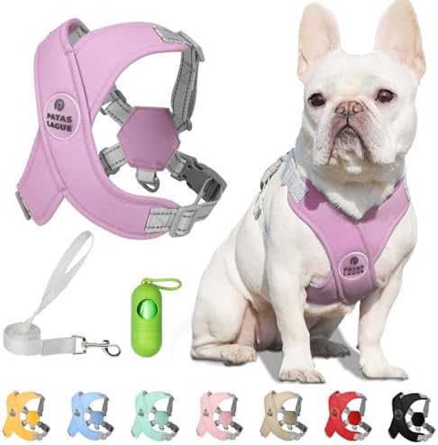 Patas Lague Vest with Leash (B0D14SFPST)