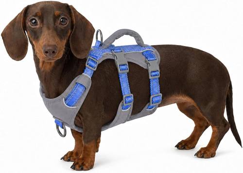Escape Proof Dog Harness, Dachshund Harness, No Escape (B0D8W85T92)