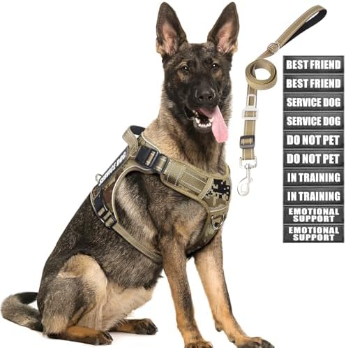 Tactical Dog Harness and Leash Set (B0DM2B1VRL)