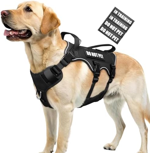 Escape Proof with Double Handle (B0FNVGYMQ7)