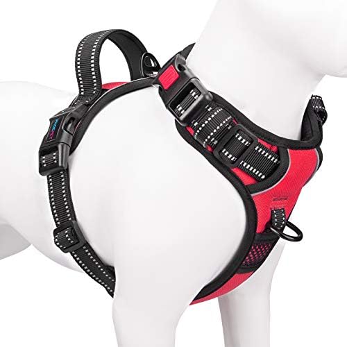 No Pull with Front & Back Clip (B0G24CMHCQ)