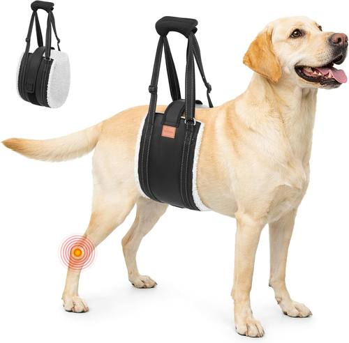 LOOBANI Dog Lift Harness Rear Leg Support (B0G63G2QQ8)