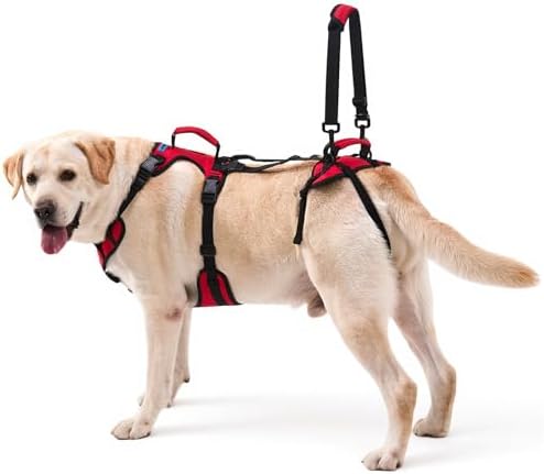 Dog Lift Harness for Large Dogs, Full-Body Support (B0GH7PQXGM)