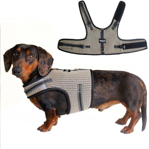Mini Dachshund Harness Vest, No Pull & No Armpit Rub (B0GWVLFVQK)