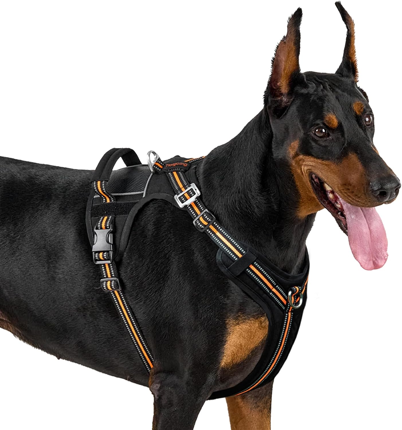 No Pull Tactical Dog Harness Aluminum Neck Buckle with Handle-Large Dog